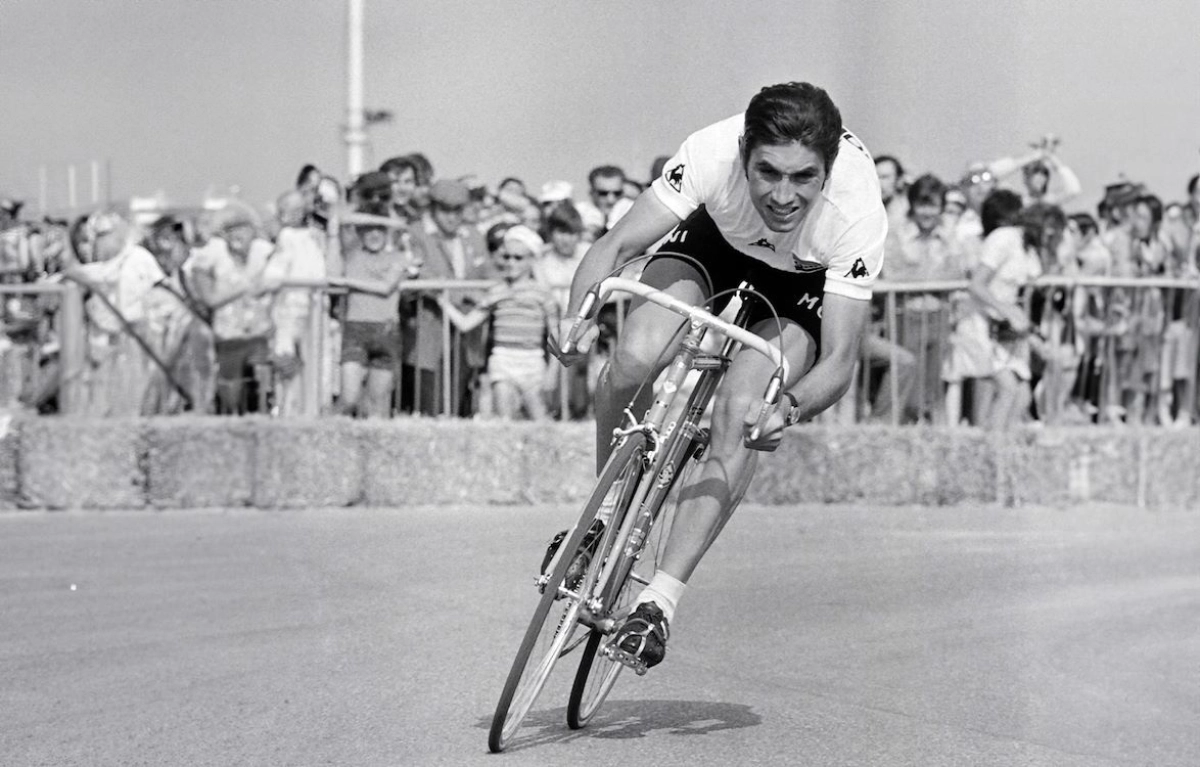 Docs: Merckx